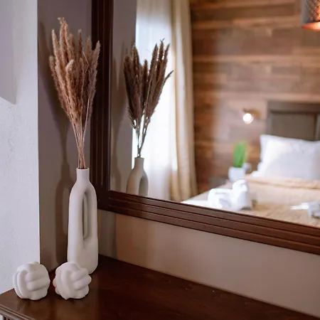 Appartement Ktima Papaoikonomou à Potos Chambre photo