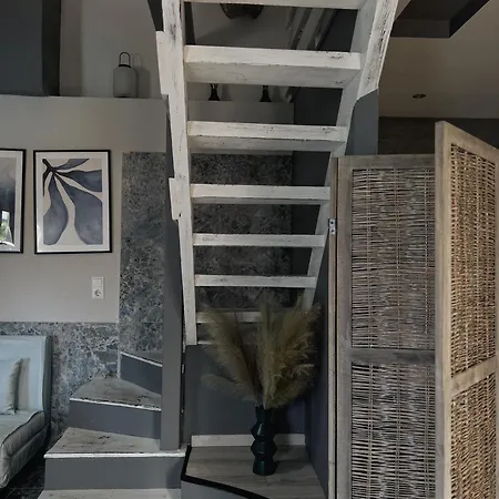 Appartement Ktima Papaoikonomou à Potos Chambre photo