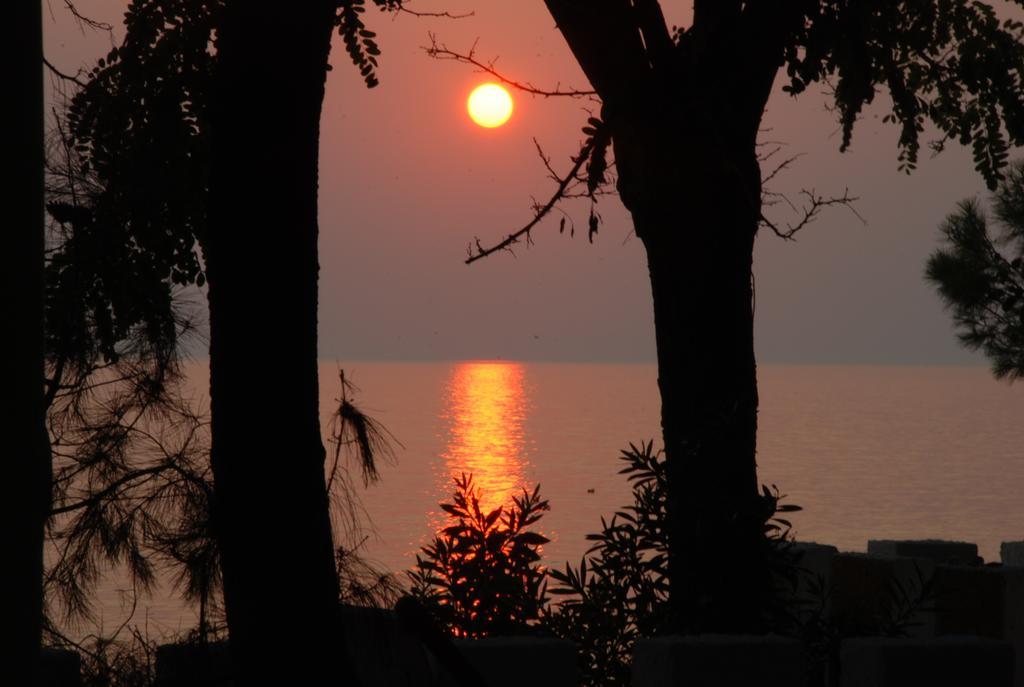 Appartement Ktima Papaoikonomou